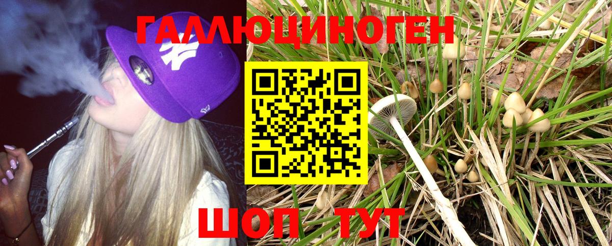 Галлюциногенные грибы Magic Shrooms Благовещенск