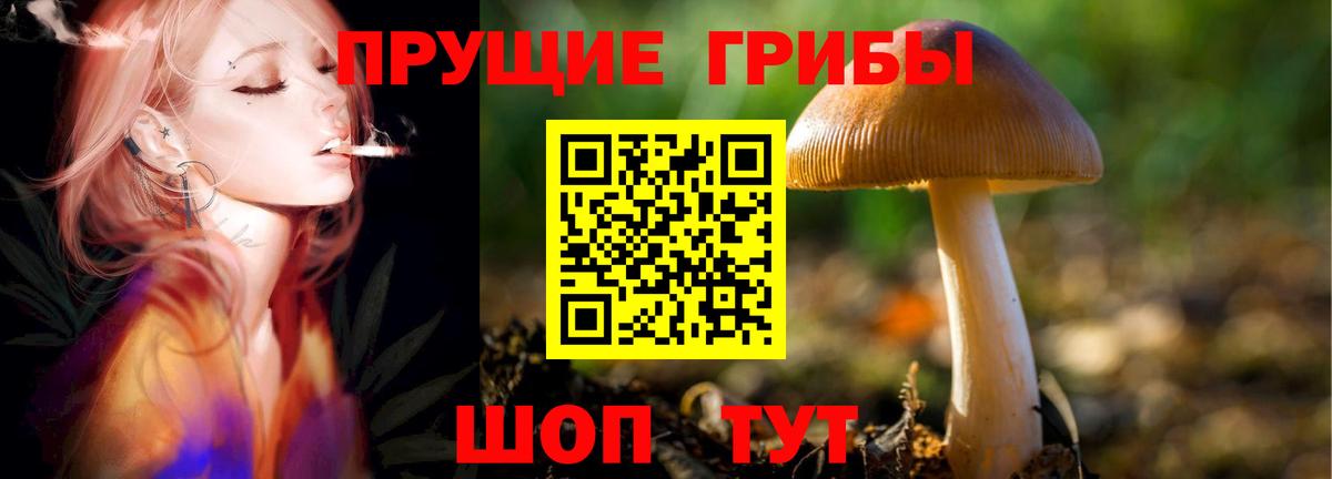 Псилоцибиновые грибы прущие грибы  Вход с VPN  Благовещенск 